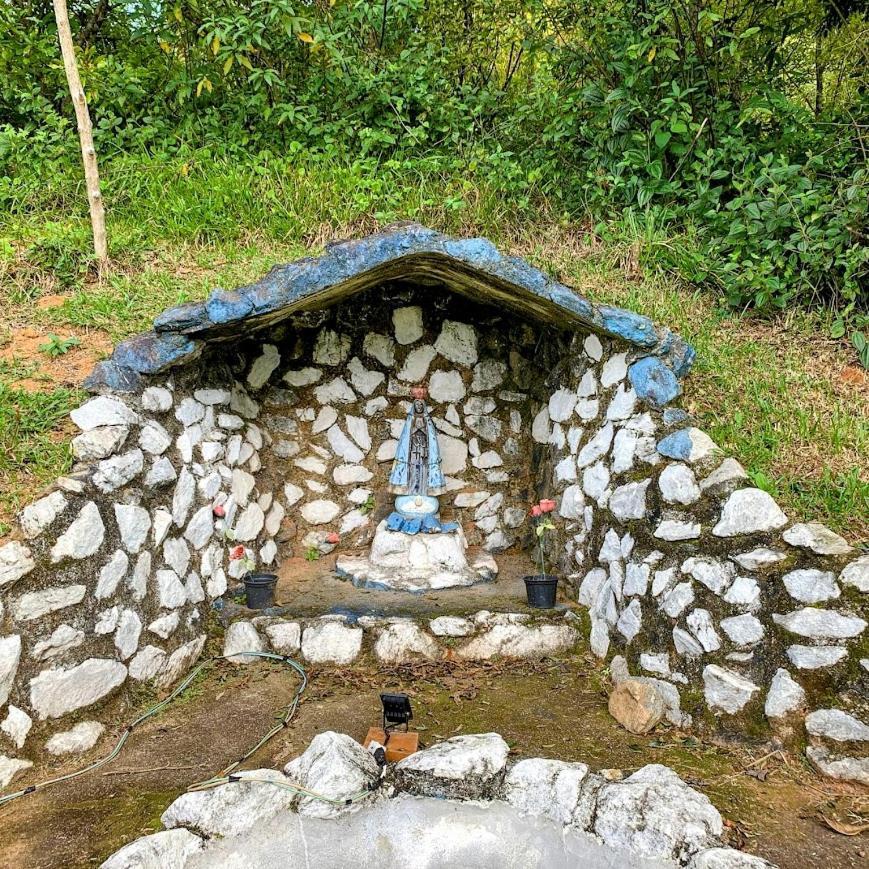 Beija-flor & Bem-te-vi, Mata Atlantica, Juquitiba, Sp Farm stay *