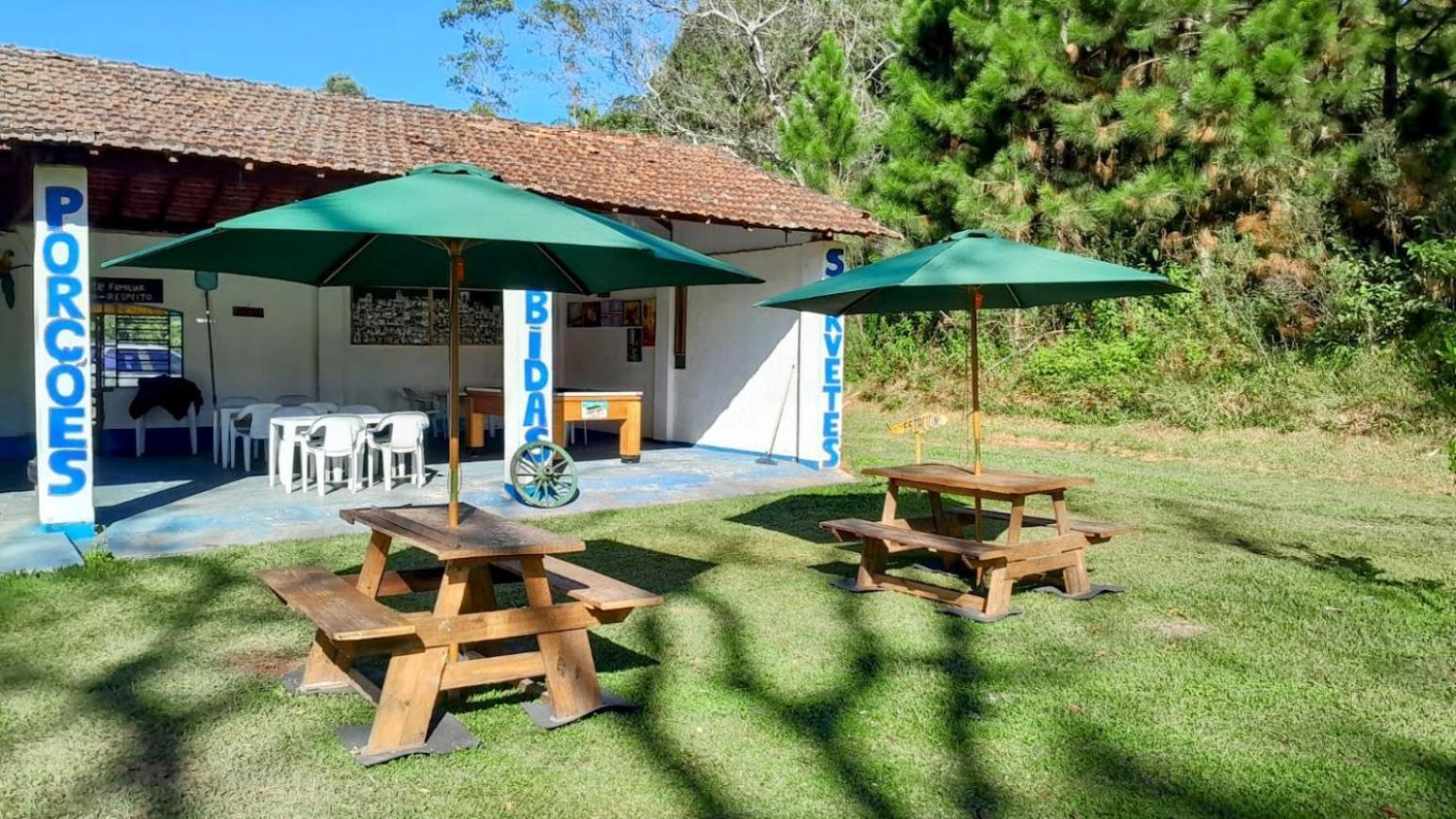 Beija-flor & Bem-te-vi, Mata Atlantica, Juquitiba, Sp * Juquitiba