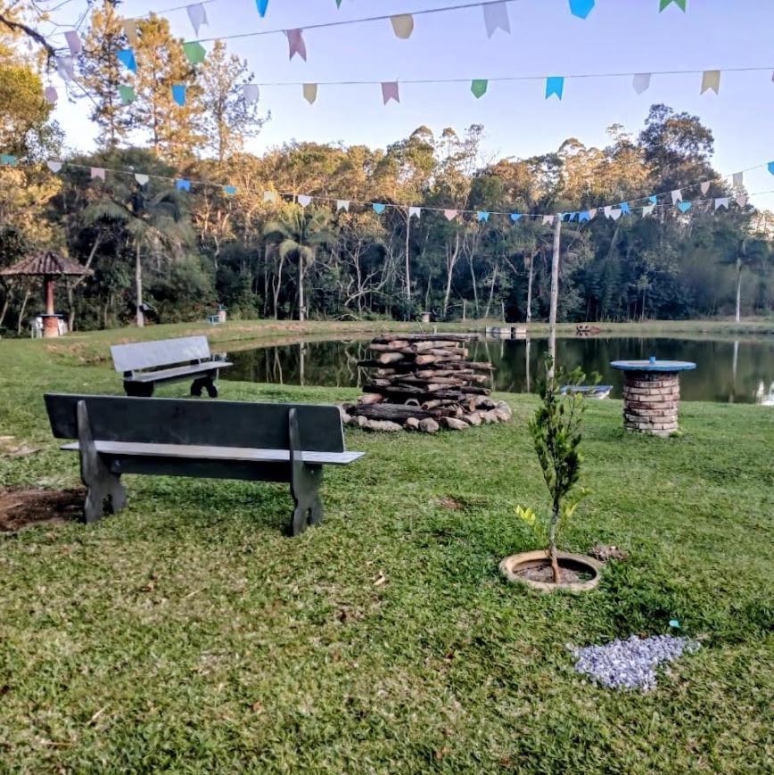 Beija-flor & Bem-te-vi, Mata Atlantica, Juquitiba, Sp * Juquitiba
