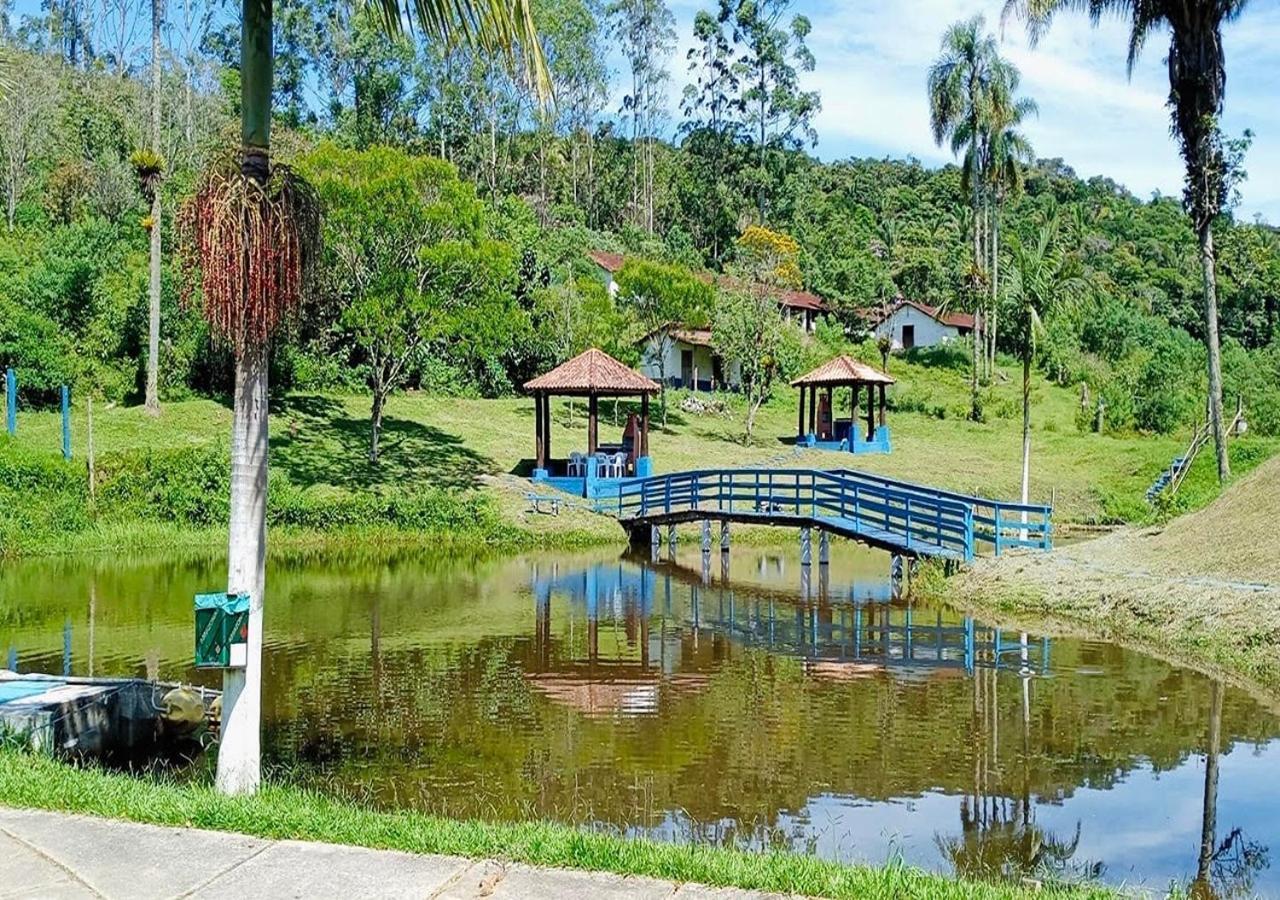 Beija-flor & Bem-te-vi, Mata Atlantica, Juquitiba, Sp * Juquitiba