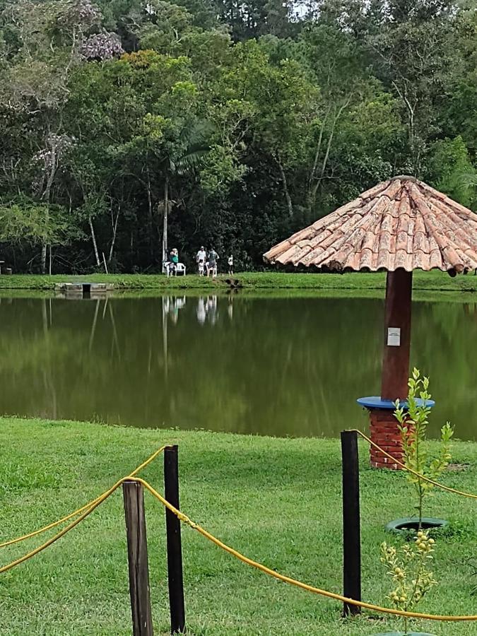 Beija-flor & Bem-te-vi, Mata Atlantica, Juquitiba, Sp * Juquitiba