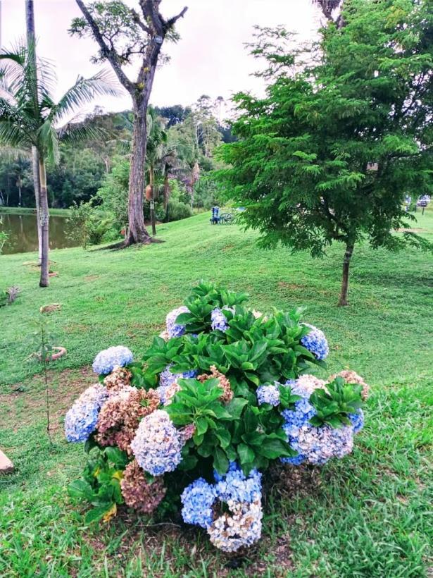 Beija-flor & Bem-te-vi, Mata Atlantica, Juquitiba, Sp Farm stay