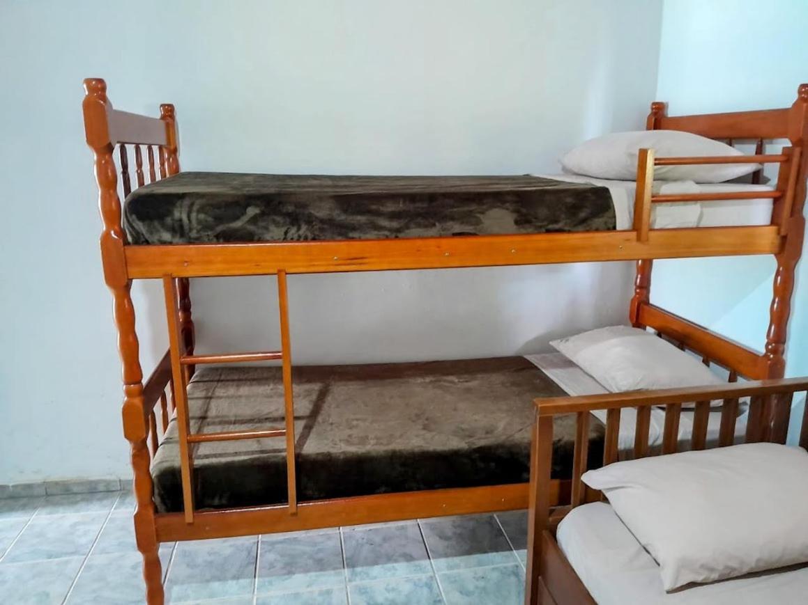 Beija-flor & Bem-te-vi, Mata Atlantica, Juquitiba, Sp Farm stay