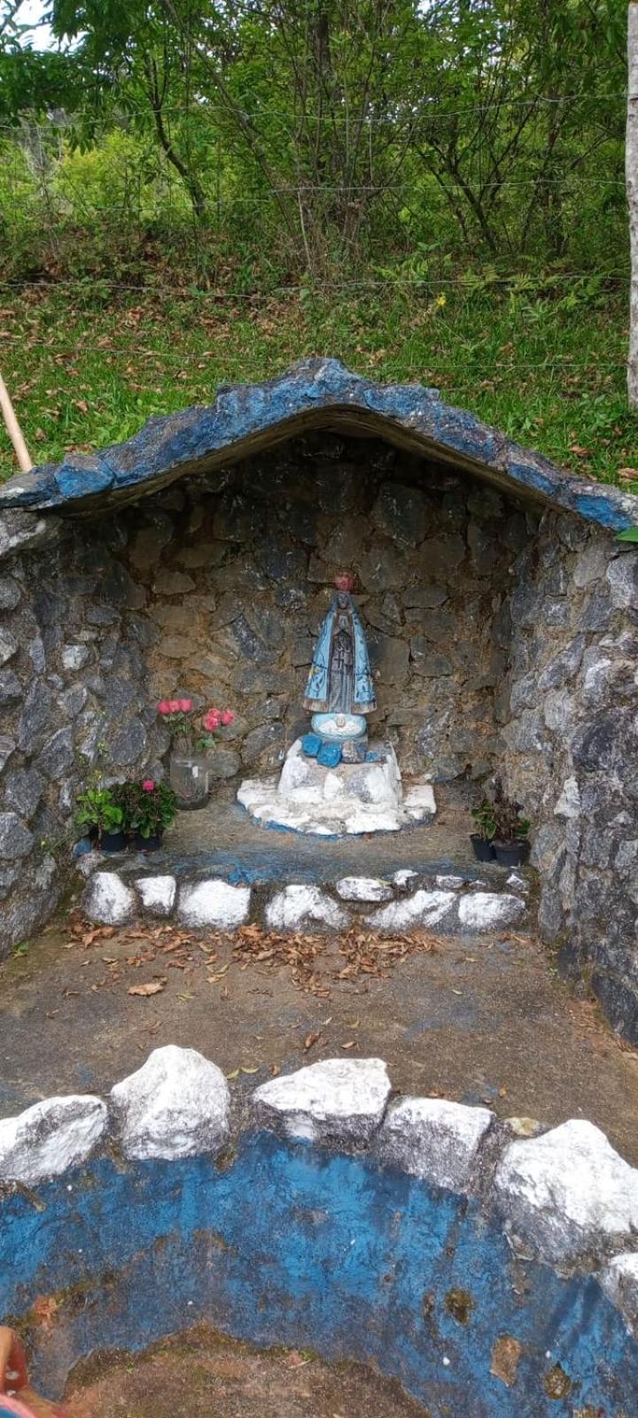 Beija-flor & Bem-te-vi, Mata Atlantica, Juquitiba, Sp * Juquitiba