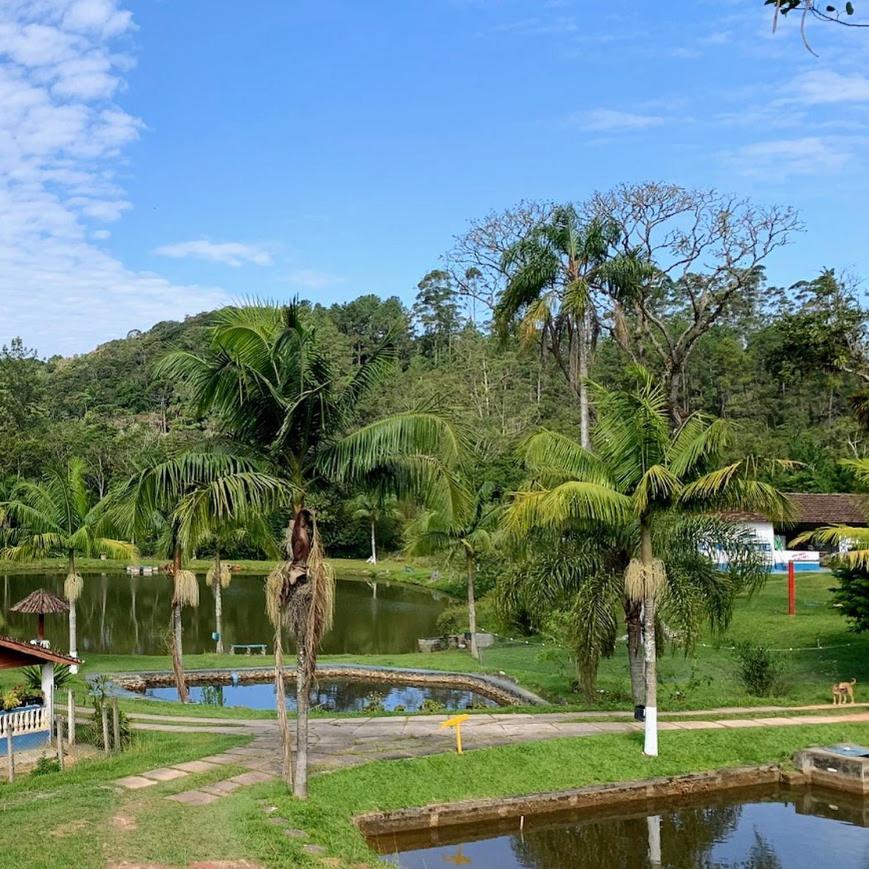 Beija-flor & Bem-te-vi, Mata Atlantica, Juquitiba, Sp Farm stay Juquitiba