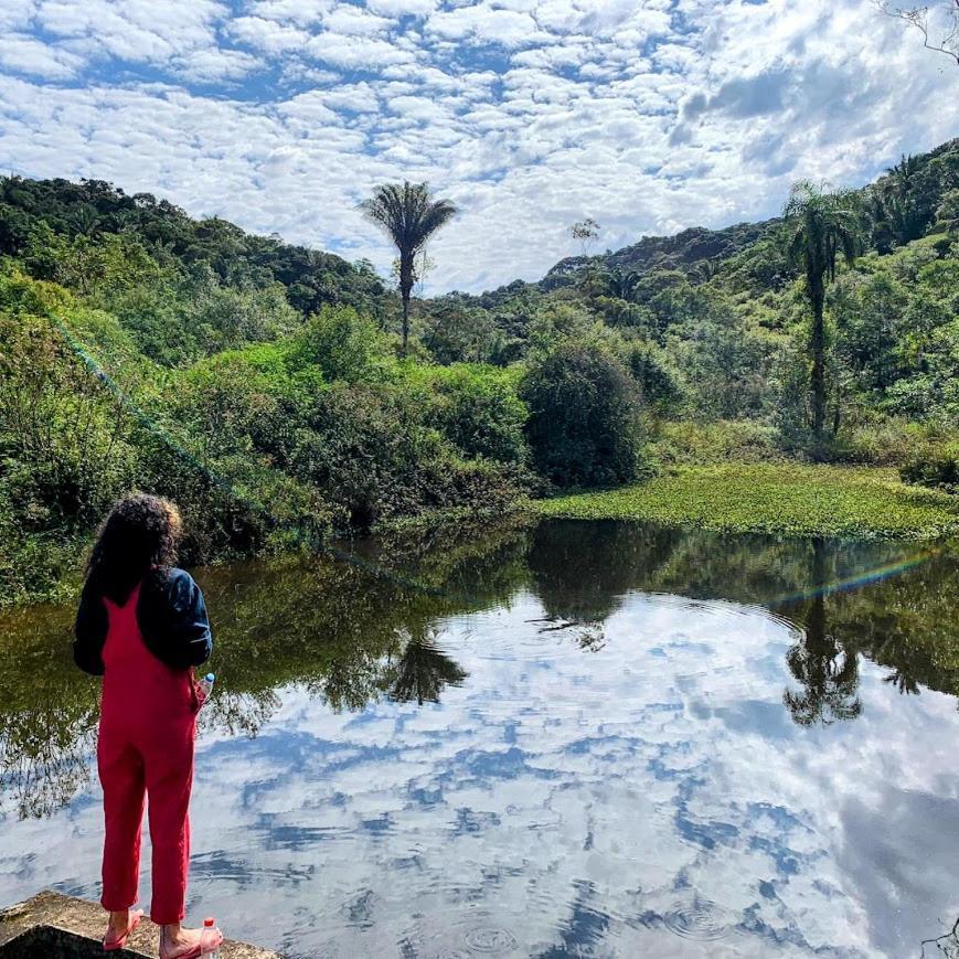 Beija-flor & Bem-te-vi, Mata Atlantica, Juquitiba, Sp * Juquitiba