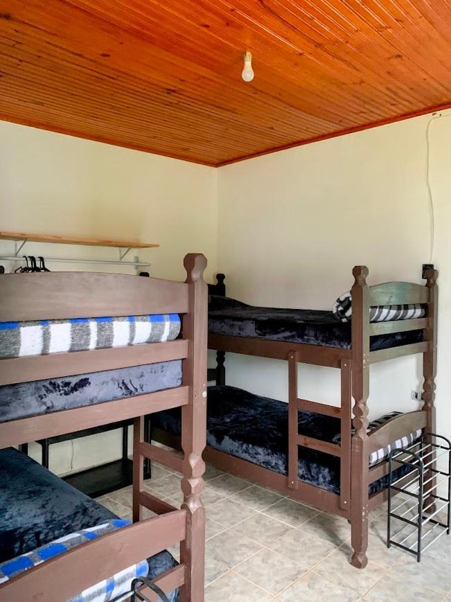 Farm stay Beija-flor & Bem-te-vi, Mata Atlantica, Juquitiba, Sp